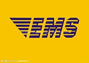 青岛进口代理与EMS快递清关 专业服务与广告设计策略